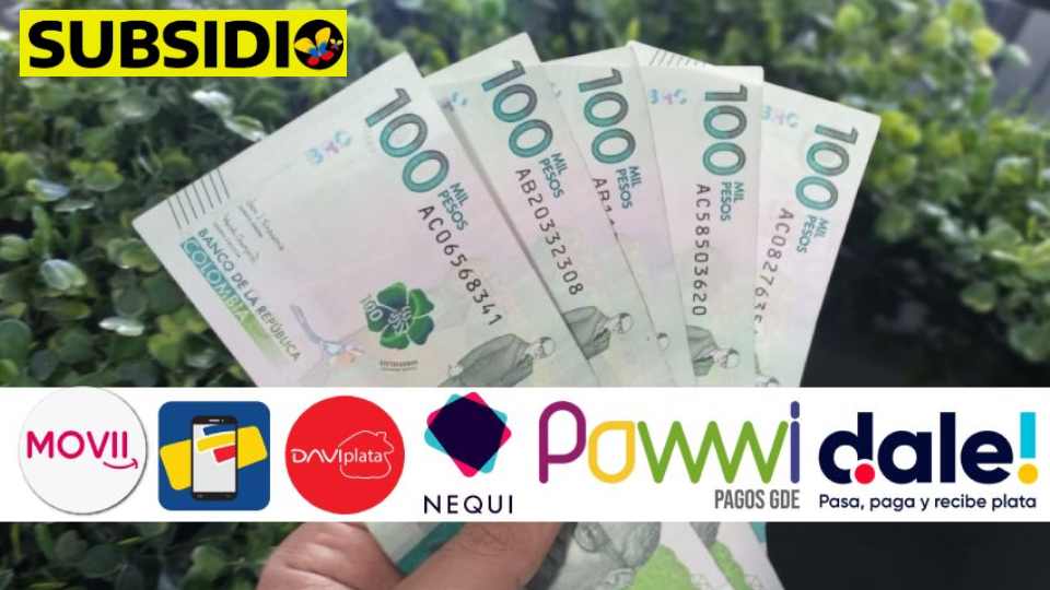Billeteras digitales Ingreso Mínimo Garantizado subsidio.com.co