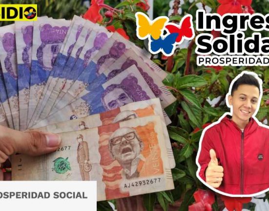 Ingreso solidario consulta subsidio.com.co