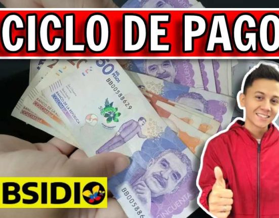 Verifica Ingreso mínimo Garantizado subsidio.com.co