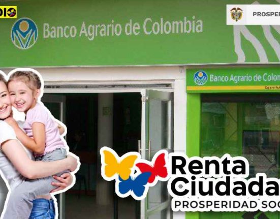Verifica Renta ciudadana subsidio.com.co