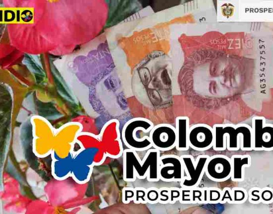 consulta Colombia mayor subsidio.com.co