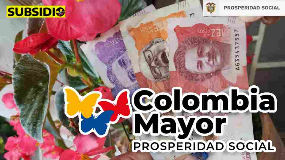 consulta Colombia mayor subsidio.com.co