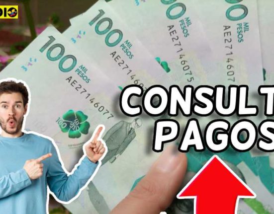 Consulta Renta ciudadana subsidio.com.co