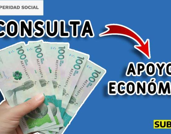 Consulta apoyo económico subsidio.com.co