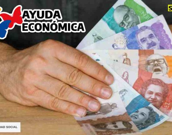Consulta ayuda económica subsidio.com.co