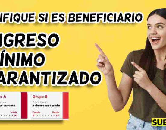 Ingreso mínimo garantizado verifique subsidio.com.co