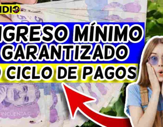 pagos Ingreso mínimo garantizado subsidio.com.co