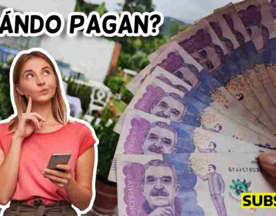 Ingreso mínimo garantizado pagos subsidio.com.co