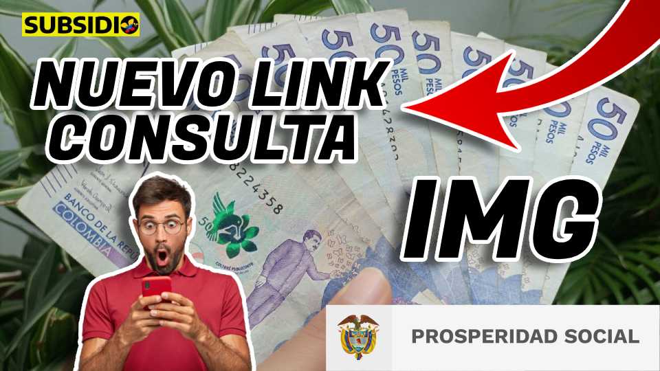 LINK ingreso mínimo garantizado subsidio.com.co