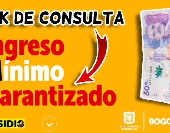 Link ingreso mínimo garantizado subsidio.com.co