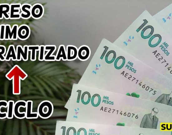 Pagos Ingreso mínimo garantizado subsidio.com.co