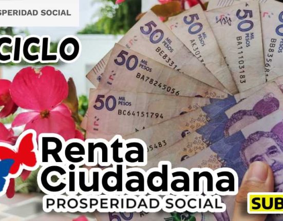 consulta Renta ciudadana subsidio.com.co