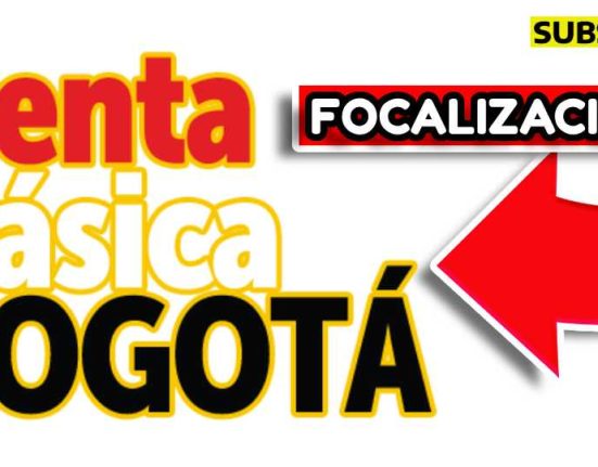 focalización ingreso mínimo garantizado subsidio.com.co