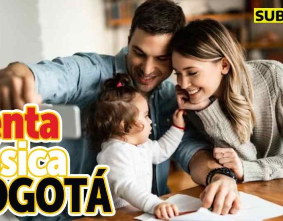 Consulta ingreso mínimo garantizado subsidio.com.co