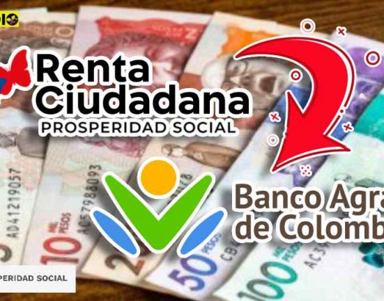 consulta subsidio Renta ciudadana pagos subsidio.com.co