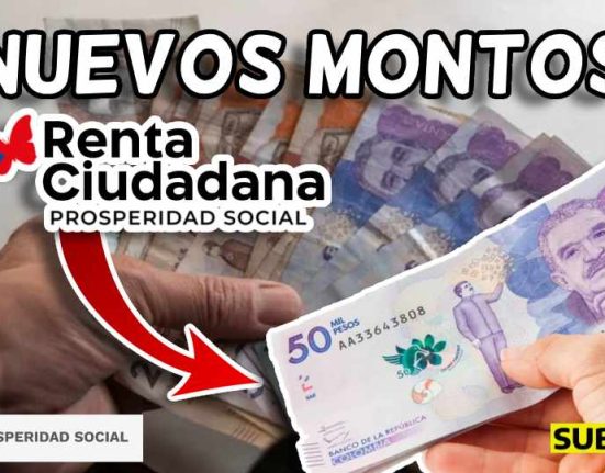 Renta ciudadana transferencias subsidio.com.co