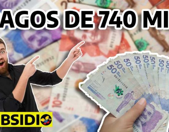 Consulta ingreso mínimo garantizado subsidio.com.co