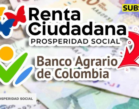 Consulta por el LINK subsidio.com.co
