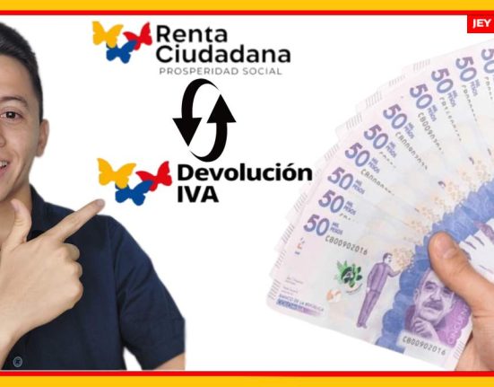 Renta Ciudadana y Compensación del IVA