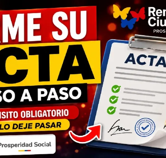 ACTA RENTA CIU
