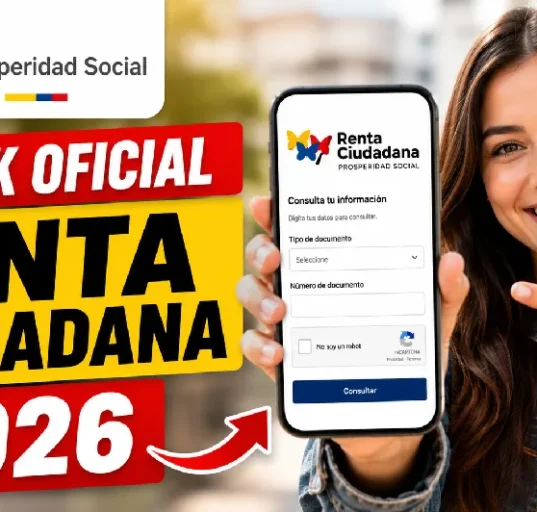 LINKCONSULTACIUDADANA