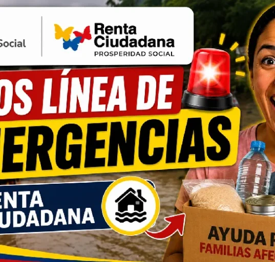 Proyecto nuevo 1 3