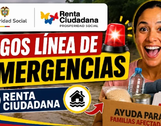 Proyecto nuevo 1 3