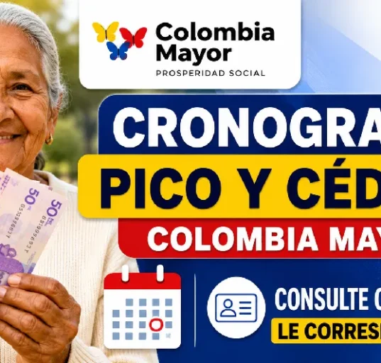 Proyecto nuevo 12