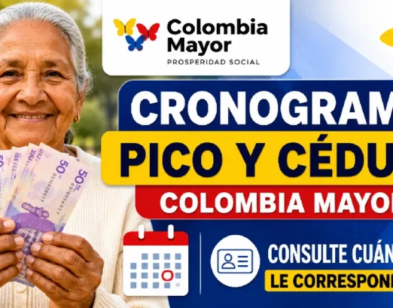 Proyecto nuevo 12