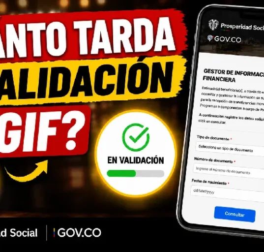 VALIDACION GIF